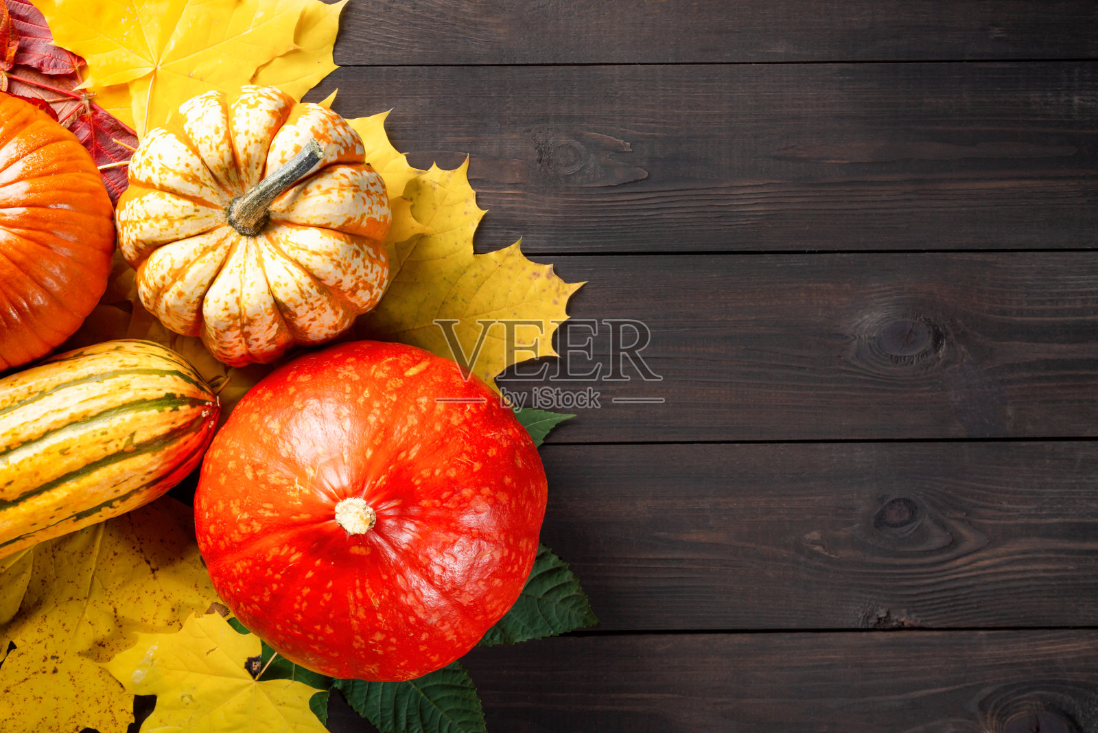秋天的背景装饰南瓜和彩色的叶子在深色的木桌上。自由空间照片摄影图片