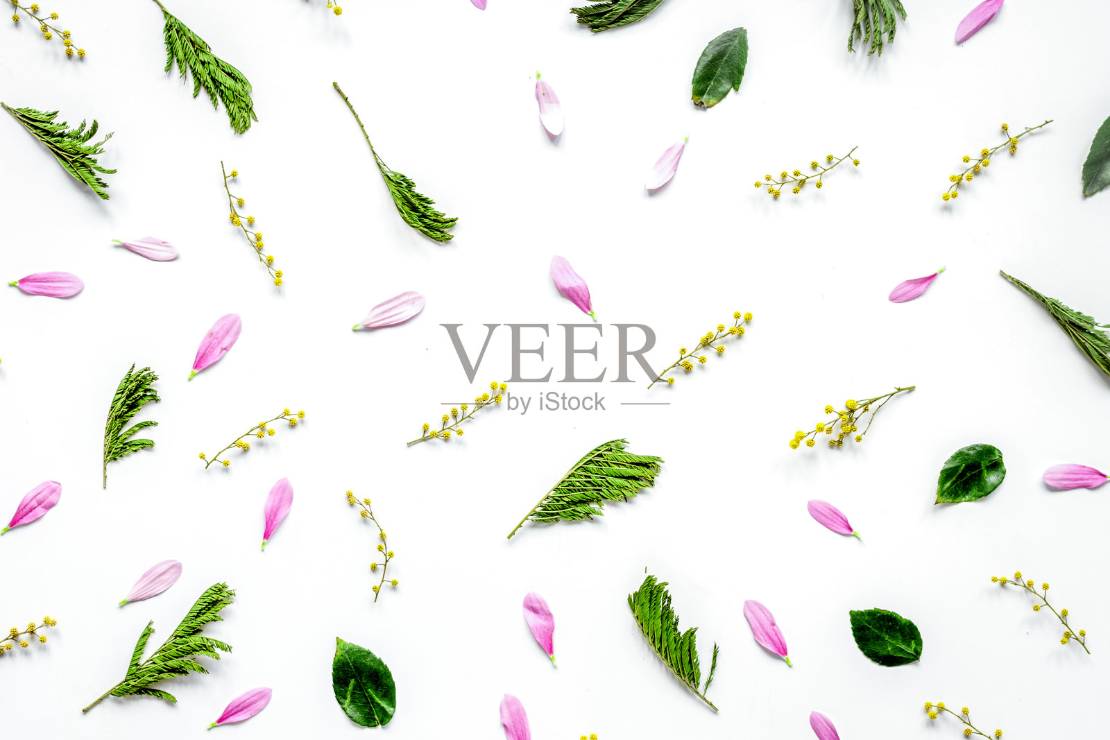 在白色桌子背景上的鸟瞰图模型照片摄影图片