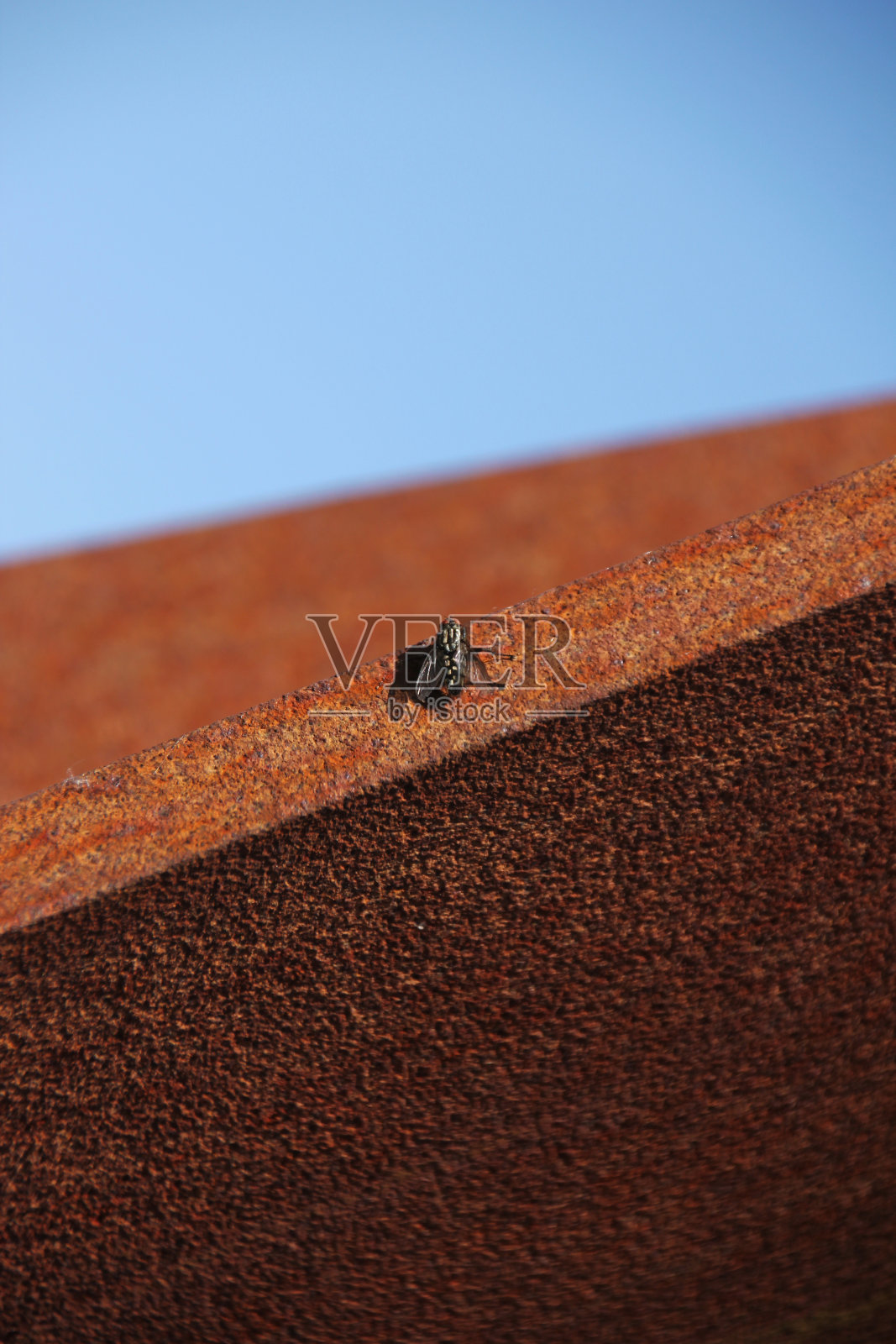 飞上一个生锈的雕塑照片摄影图片