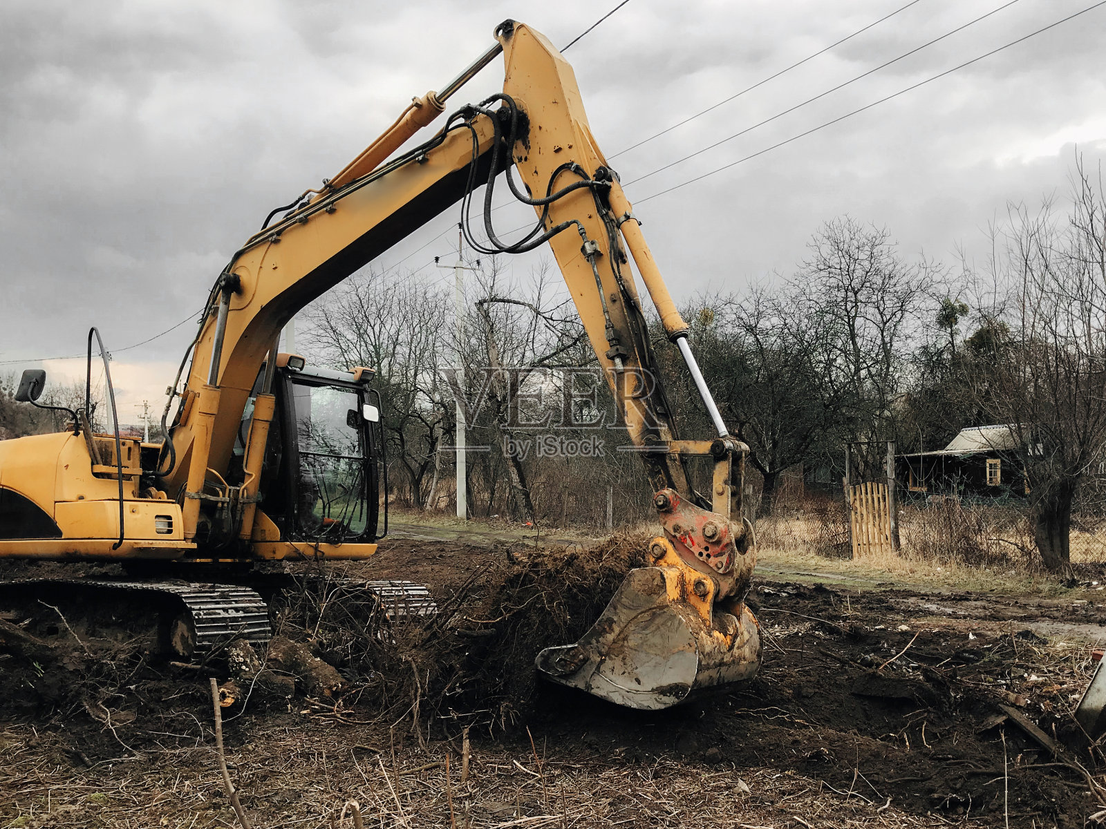 挖掘机在乡下把地上的树木连根拔起。用推土机清除地上的老树、树根和树枝上的泥土和垃圾。反铲机械。院子里工作照片摄影图片