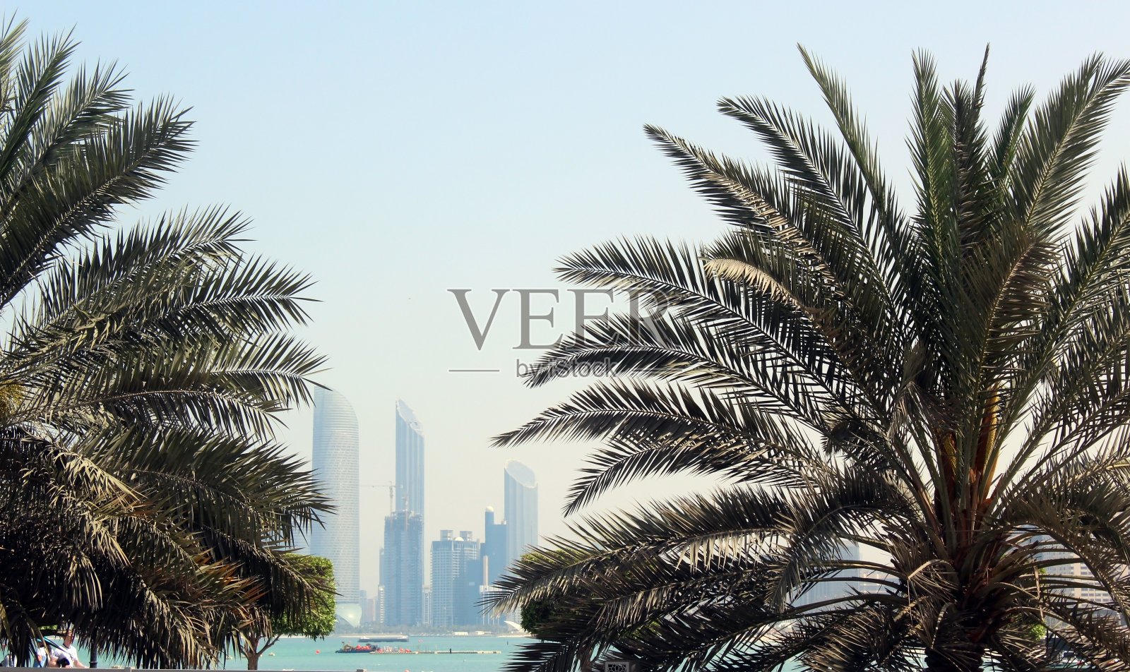 阿拉伯联合酋长国阿布扎比城市风光，棕榈树照片摄影图片