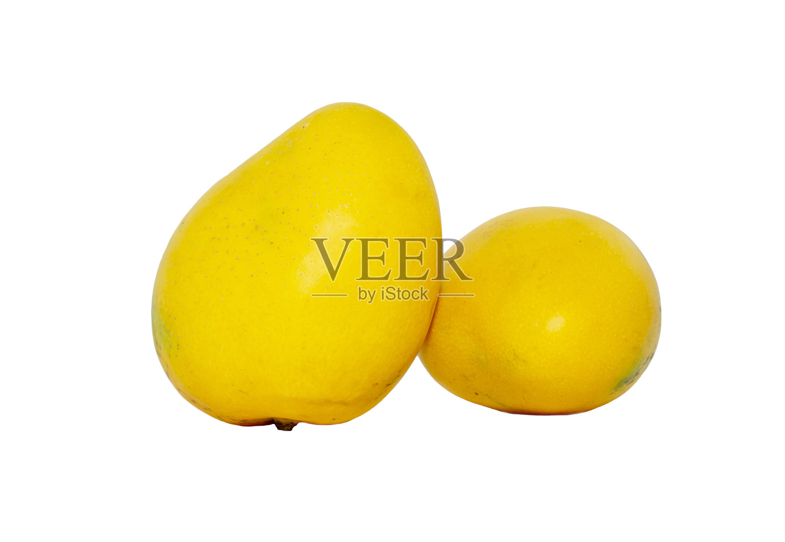 芒果在一个白色的背景股票照片照片摄影图片