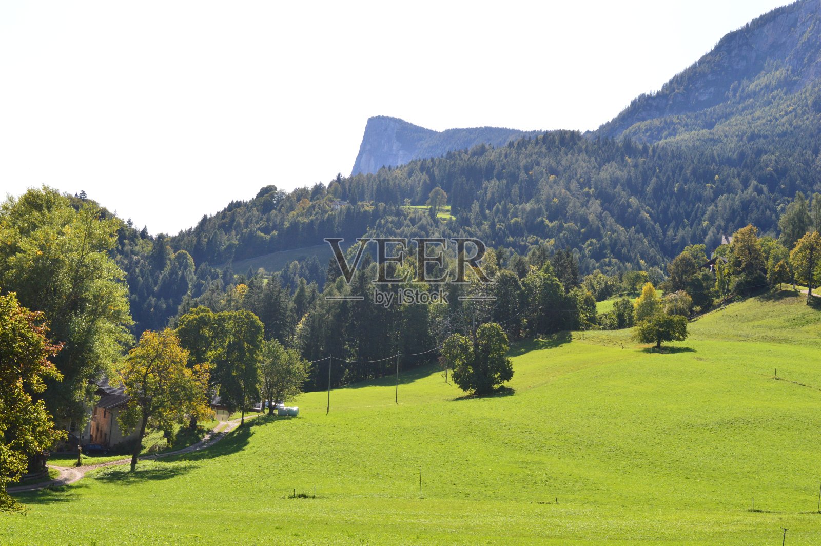 在南蒂罗尔的Grissiano照片摄影图片
