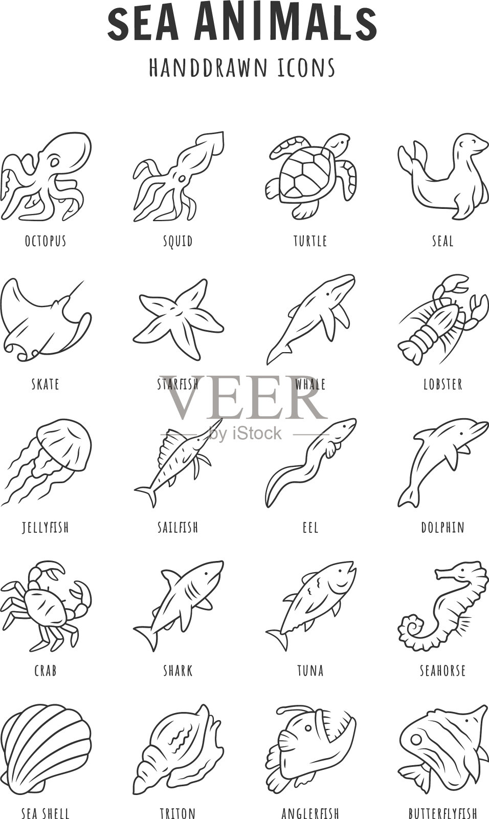 海洋动物线性图标设置海龟水母图标素材