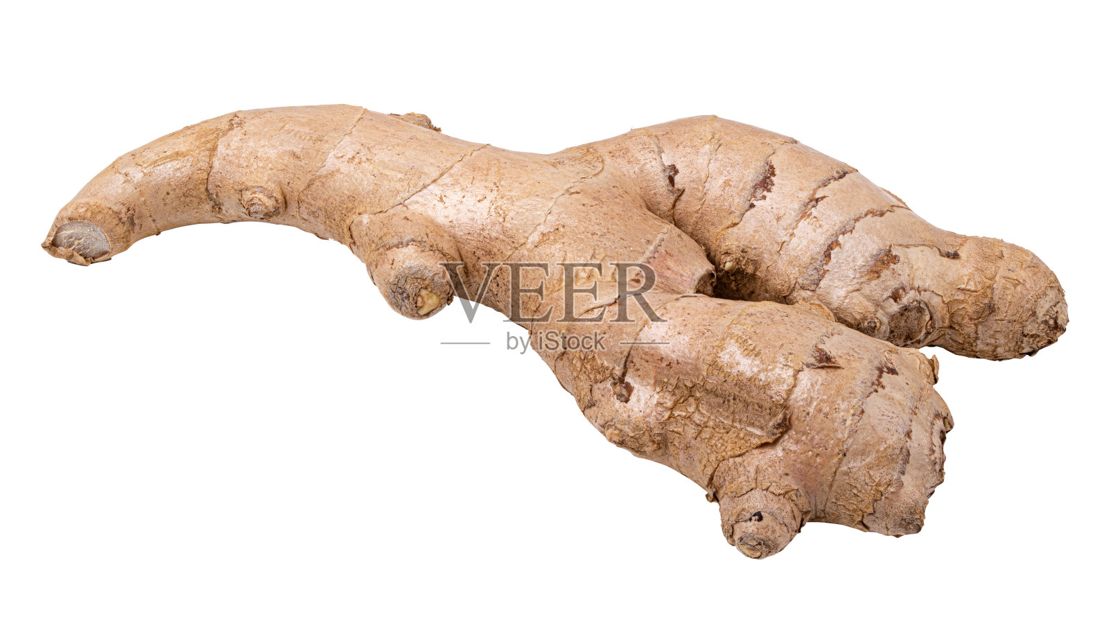 白色背景上的姜照片摄影图片