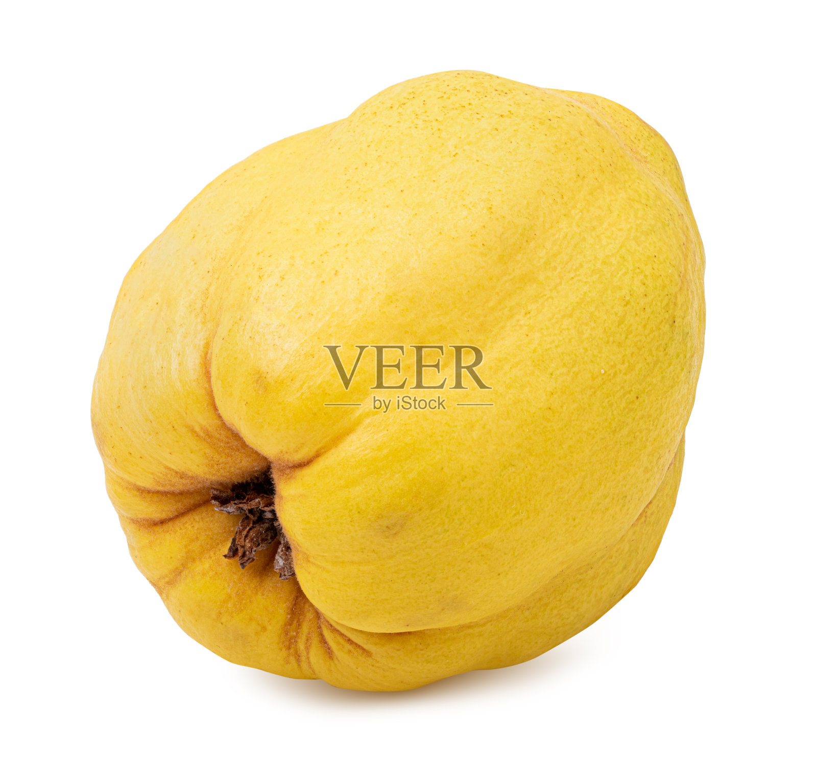 白色背景上的新鲜木瓜照片摄影图片