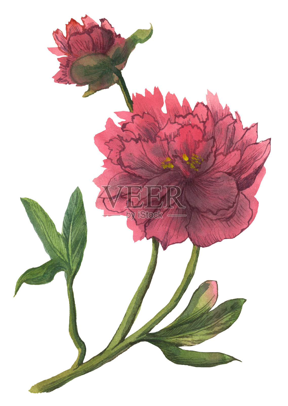 亚洲无缝图案有日本鲤鱼、中国樱花、东方扇日本花灯。用亚洲传统符号绘制水彩插图插画图片素材