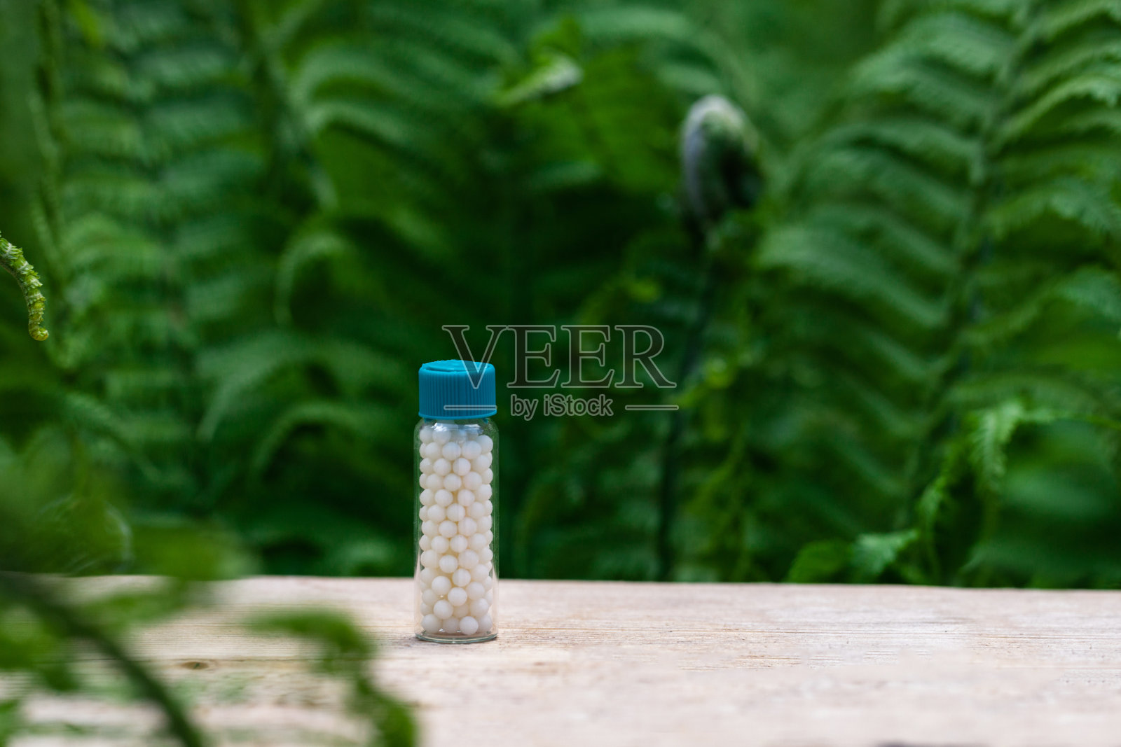 绿色蕨类植物背景下的顺势疗法球瓶。顺势疗法药物。照片摄影图片