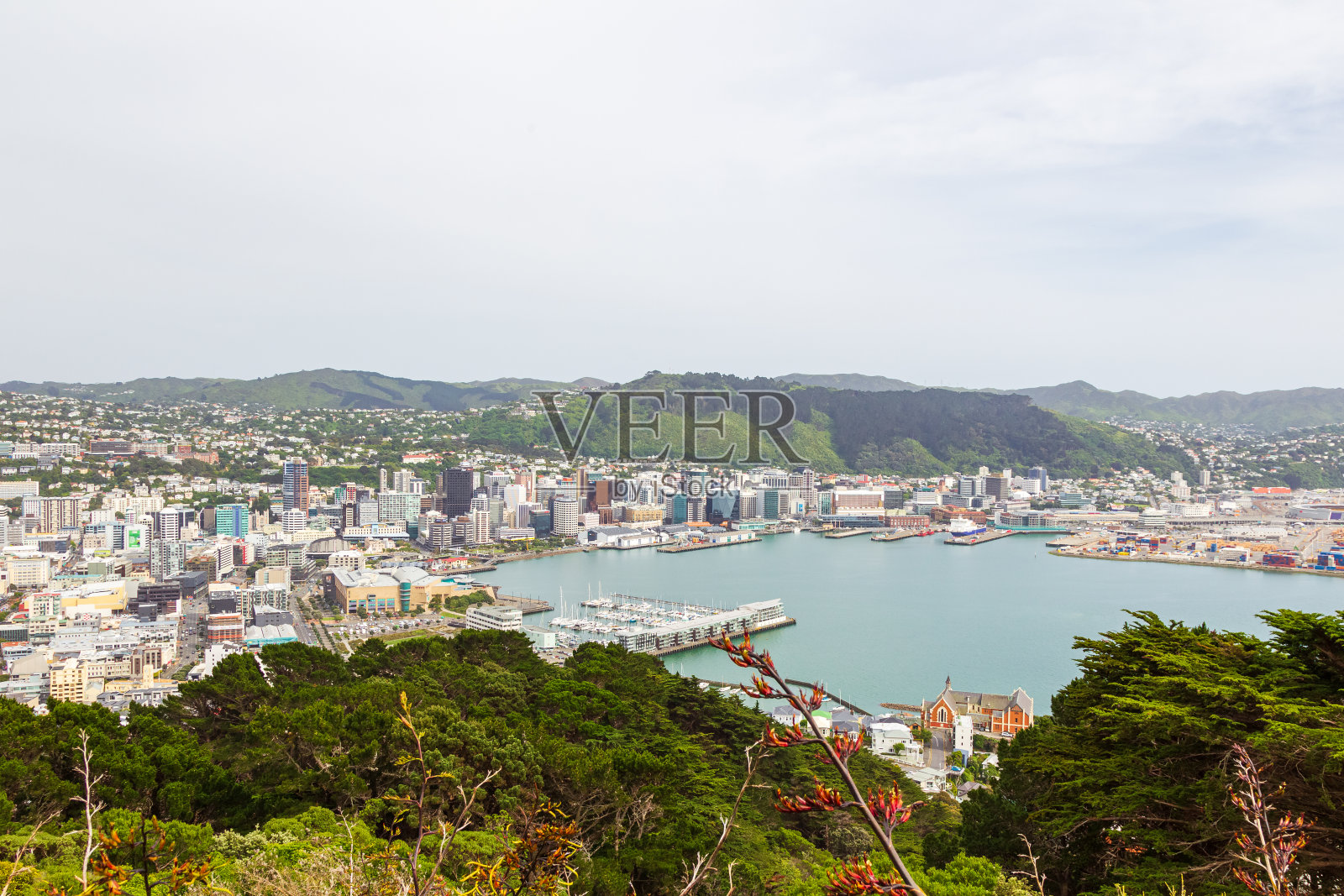 俯瞰惠灵顿市。新西兰照片摄影图片