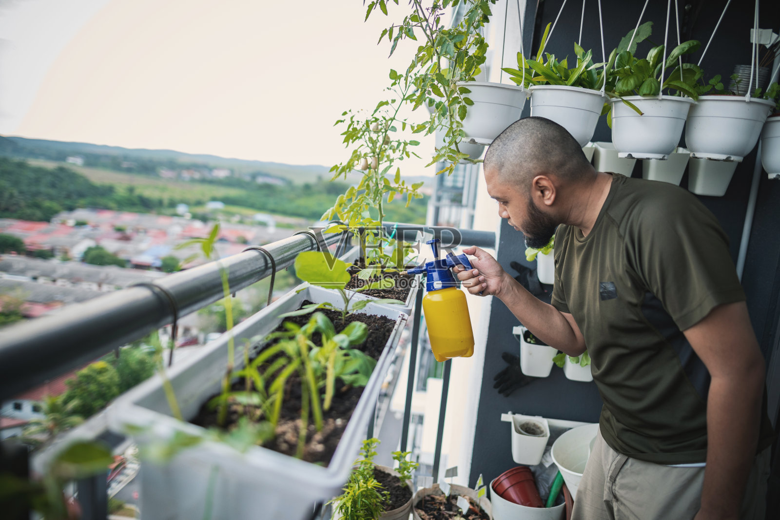 阳台居家园艺照片摄影图片