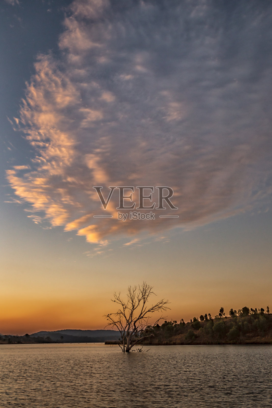 树上的云照片摄影图片