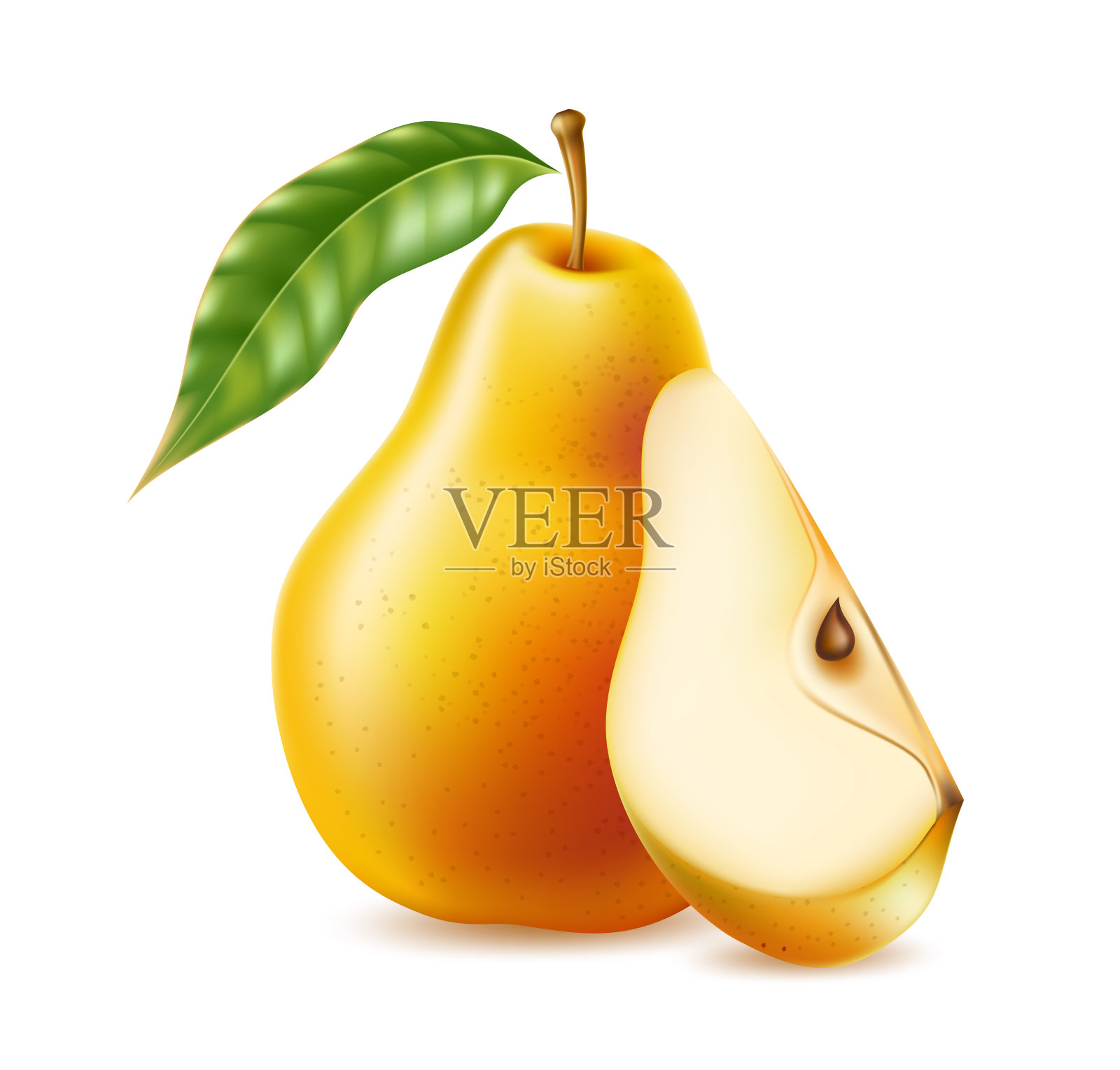 向量现实黄熟梨健康食品插画图片素材