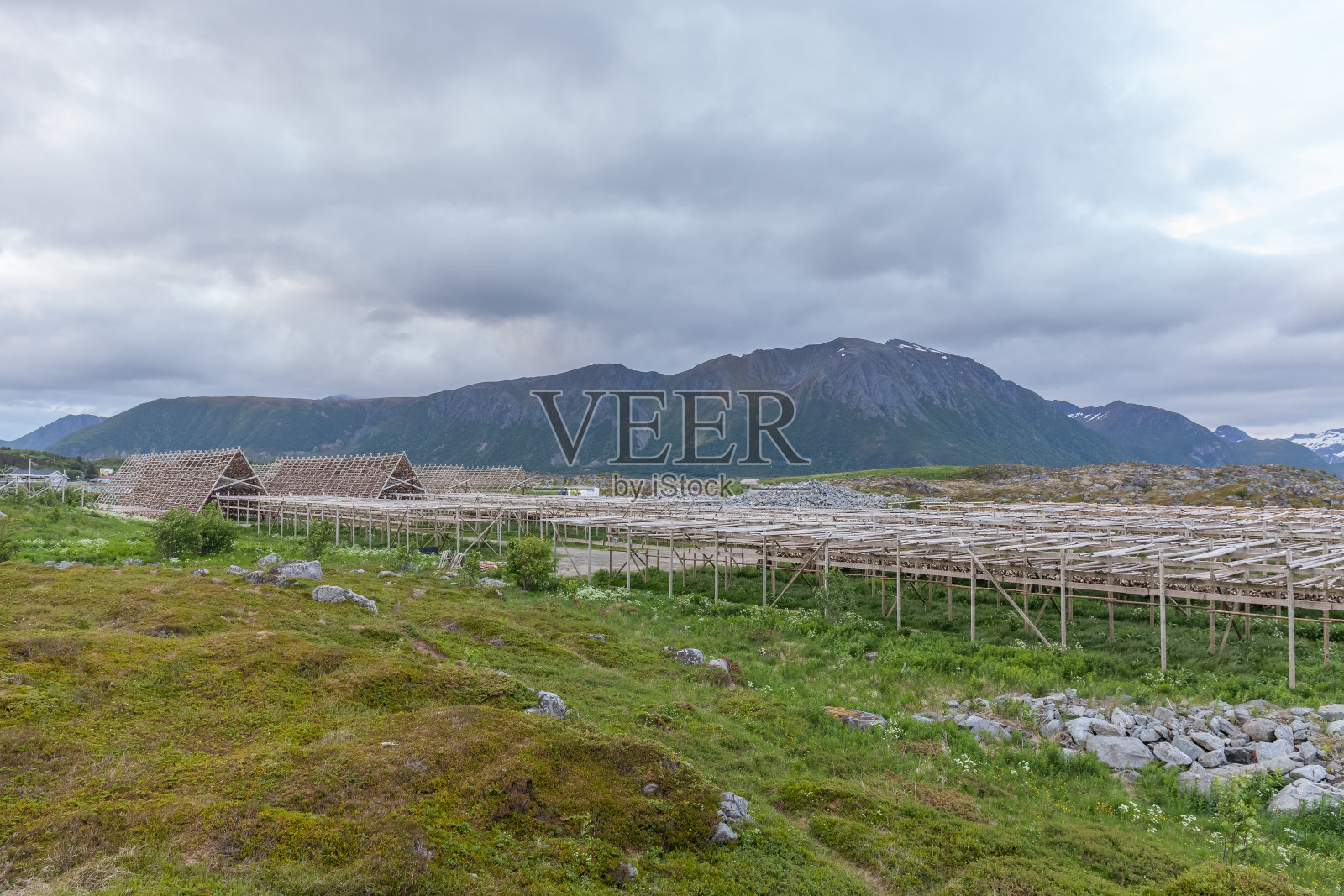 夏天在美丽的挪威旅游。周末旅行,度假。斯堪的纳维亚国家，选择性关注照片摄影图片