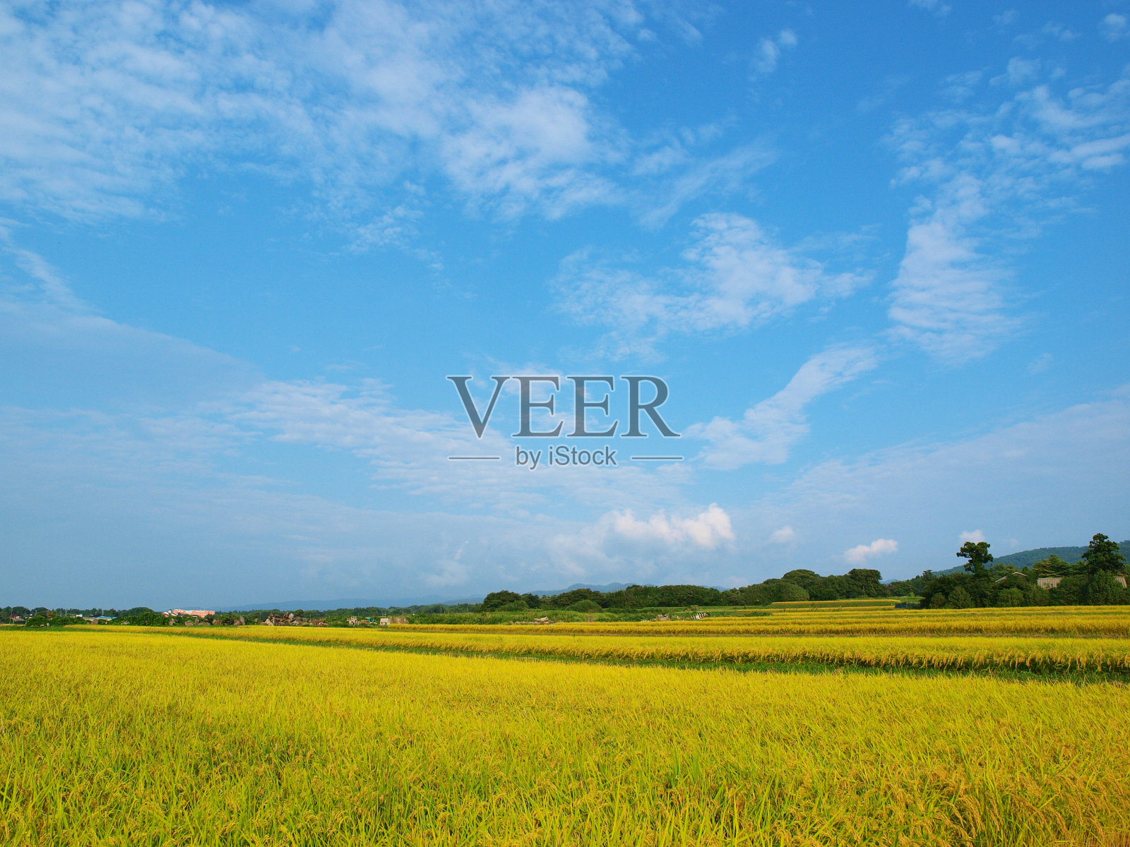 佐渡岛的秋季景观照片摄影图片