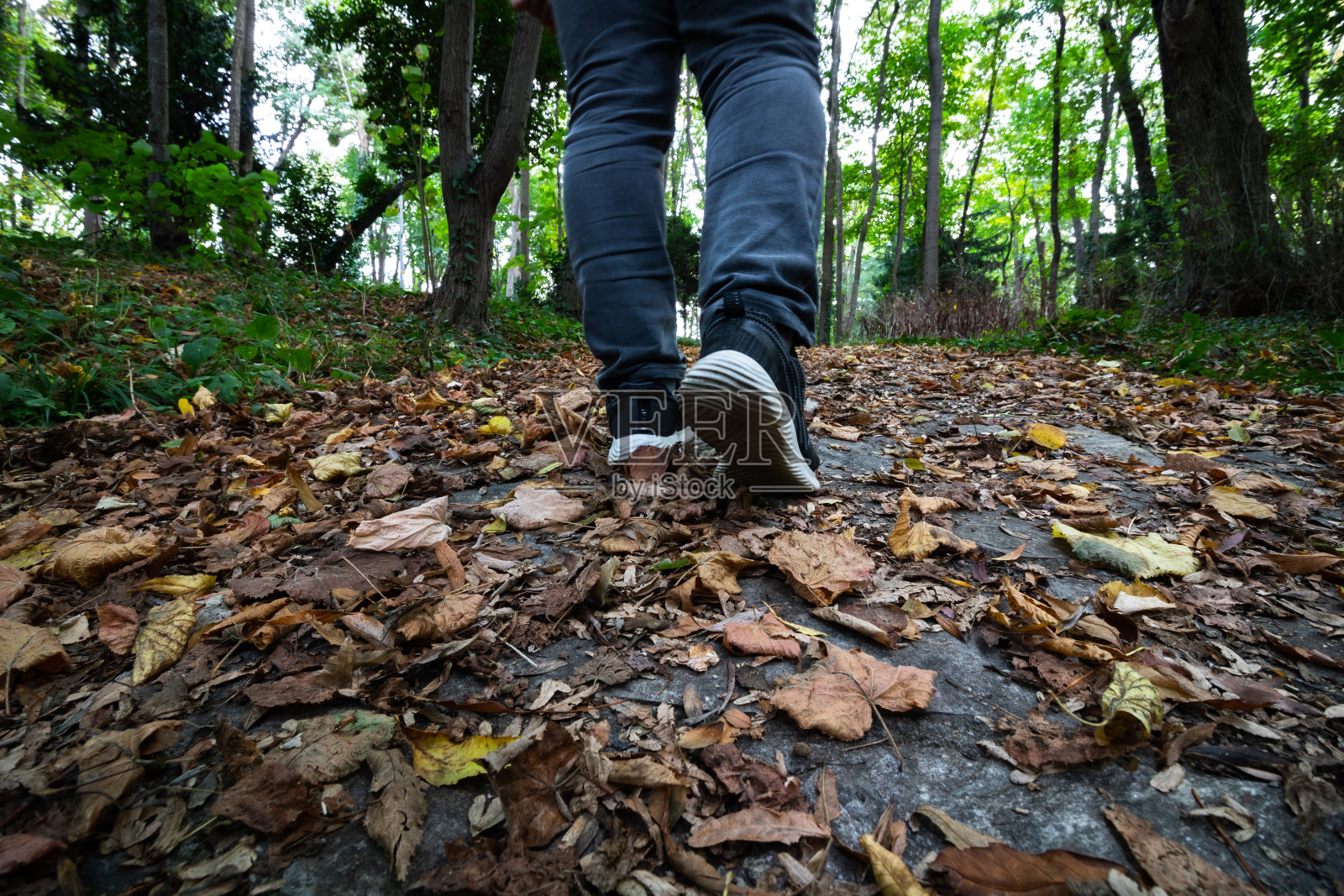 在森林里行走的人照片摄影图片