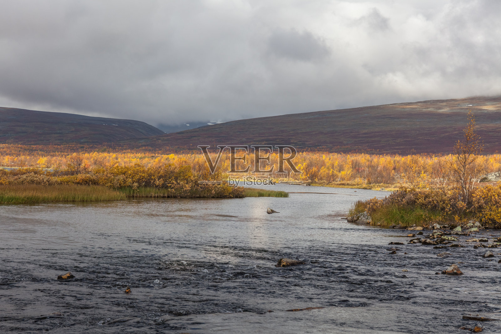 沙瑞克国家公园北极山区的一条河流。照片摄影图片