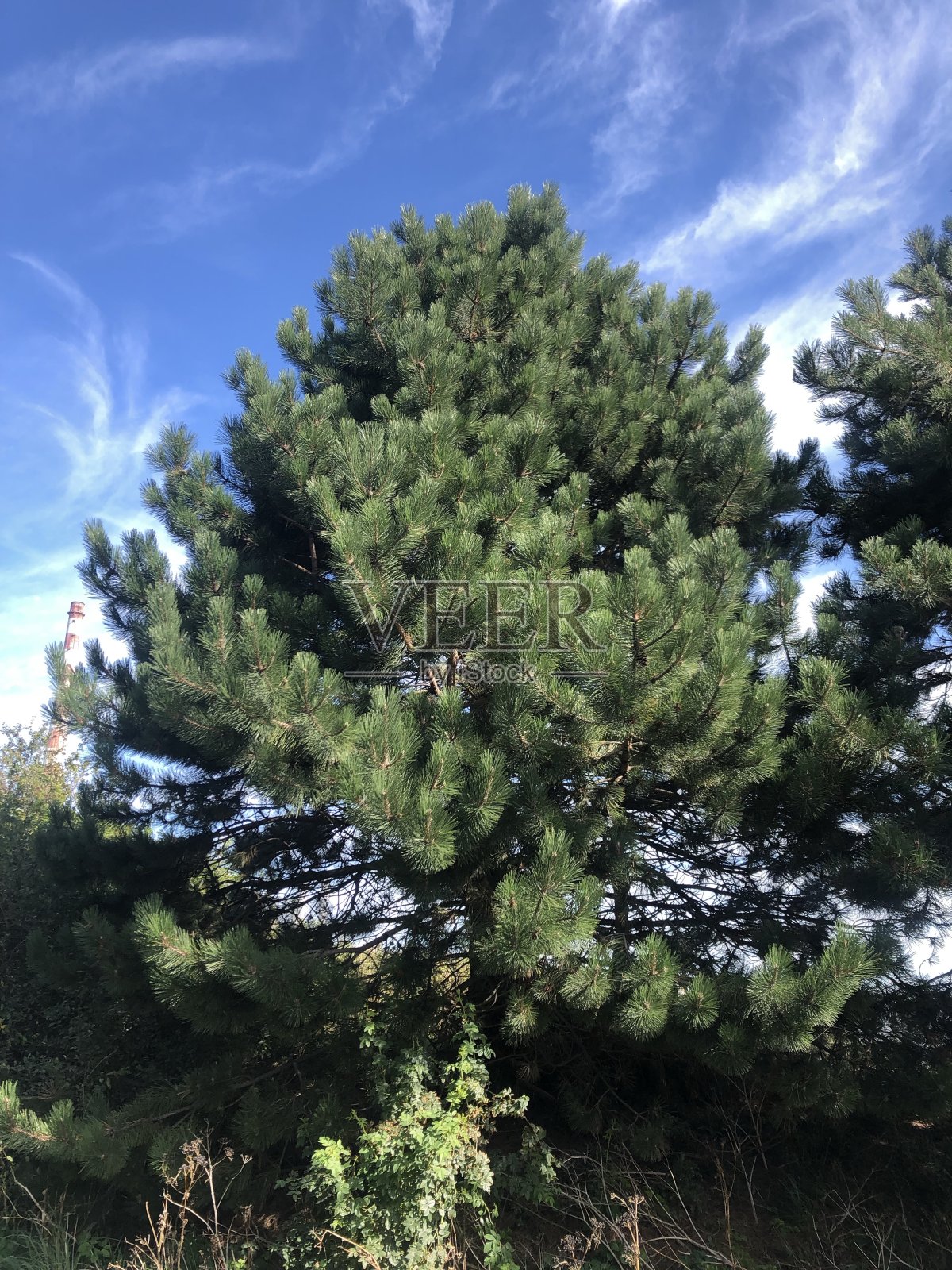 都柏林美丽的大自然!照片摄影图片