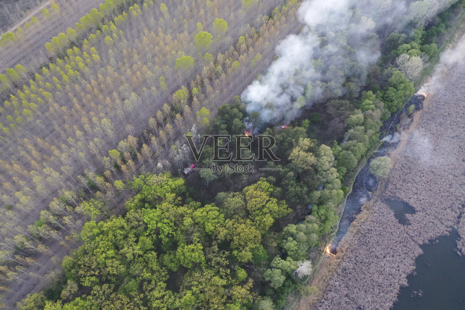 森林和野外火灾。烧干草，自然灾害。鸟瞰图。大火过后，地面上覆盖着一层黑色的燃烧层。消防车和消防员灭火。欧洲匈牙利照片摄影图片