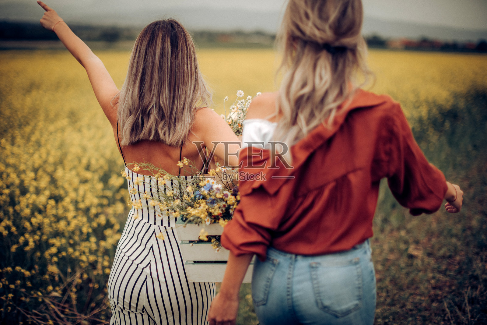 姐妹们在花圃里放松照片摄影图片