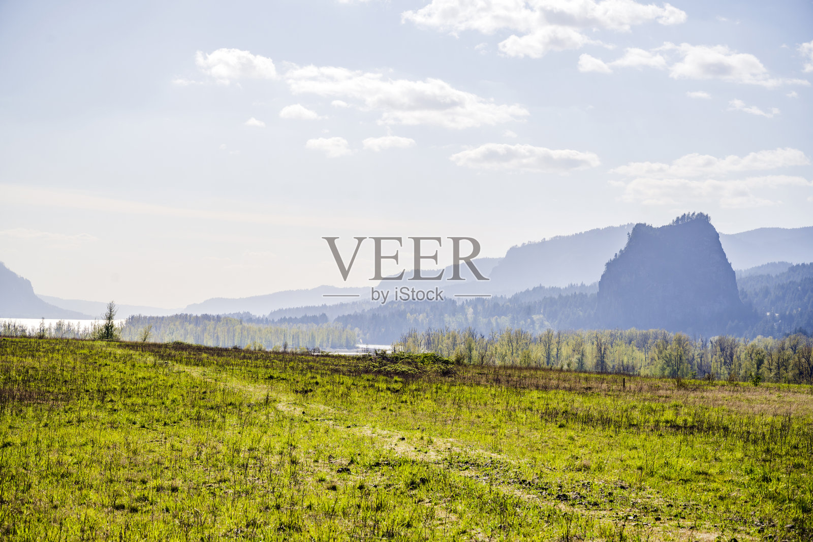 在哥伦比亚峡谷的地平线上，绿色的草地和高高的岩石山脉照片摄影图片