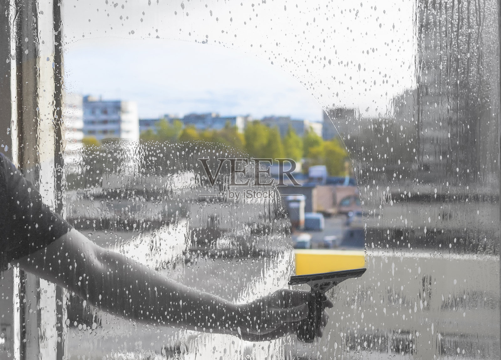 橡皮清洁刷在男性的手擦拭肥皂窗户照片摄影图片