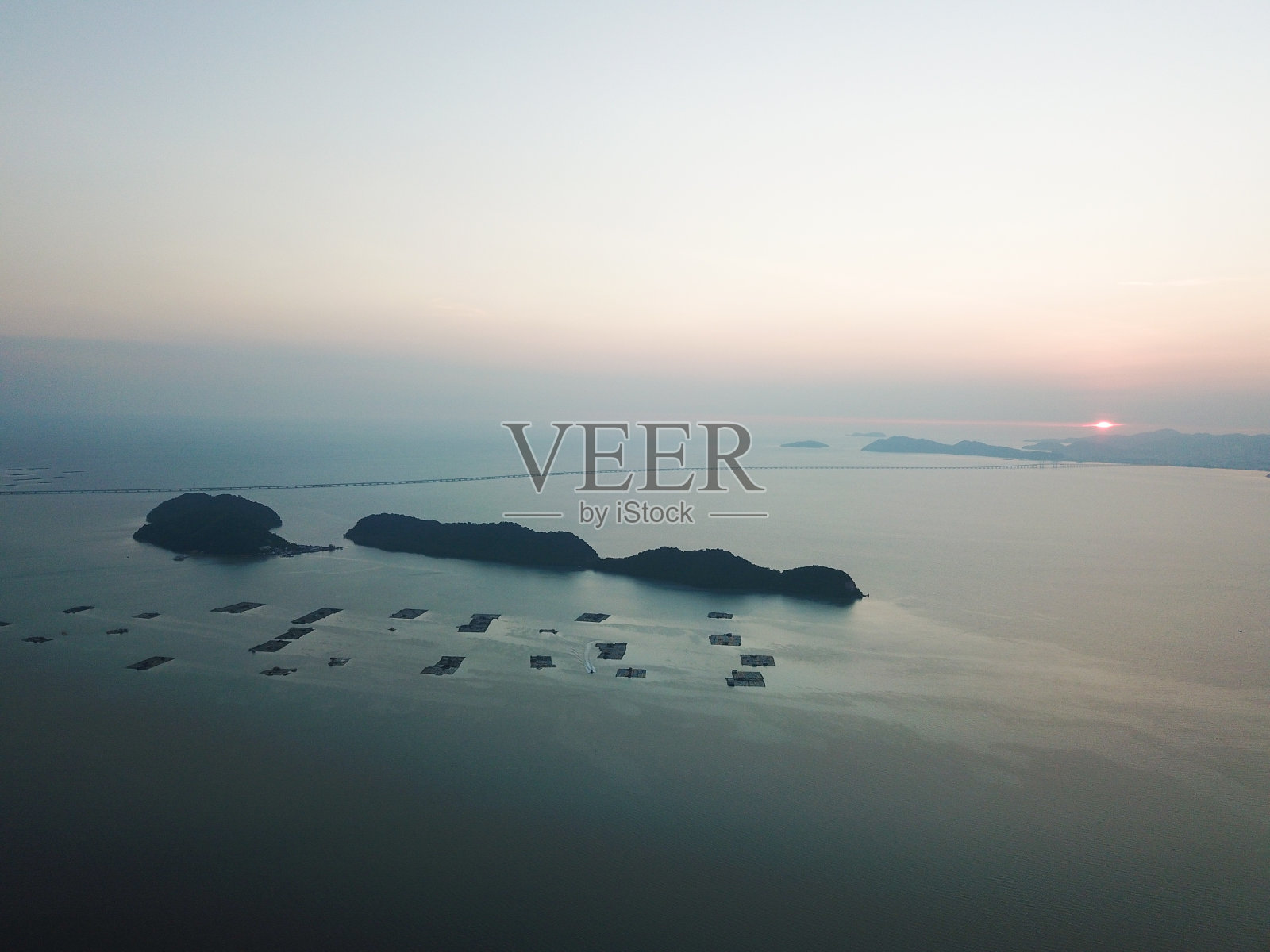 日落时鸟岛鸟岛安全。照片摄影图片