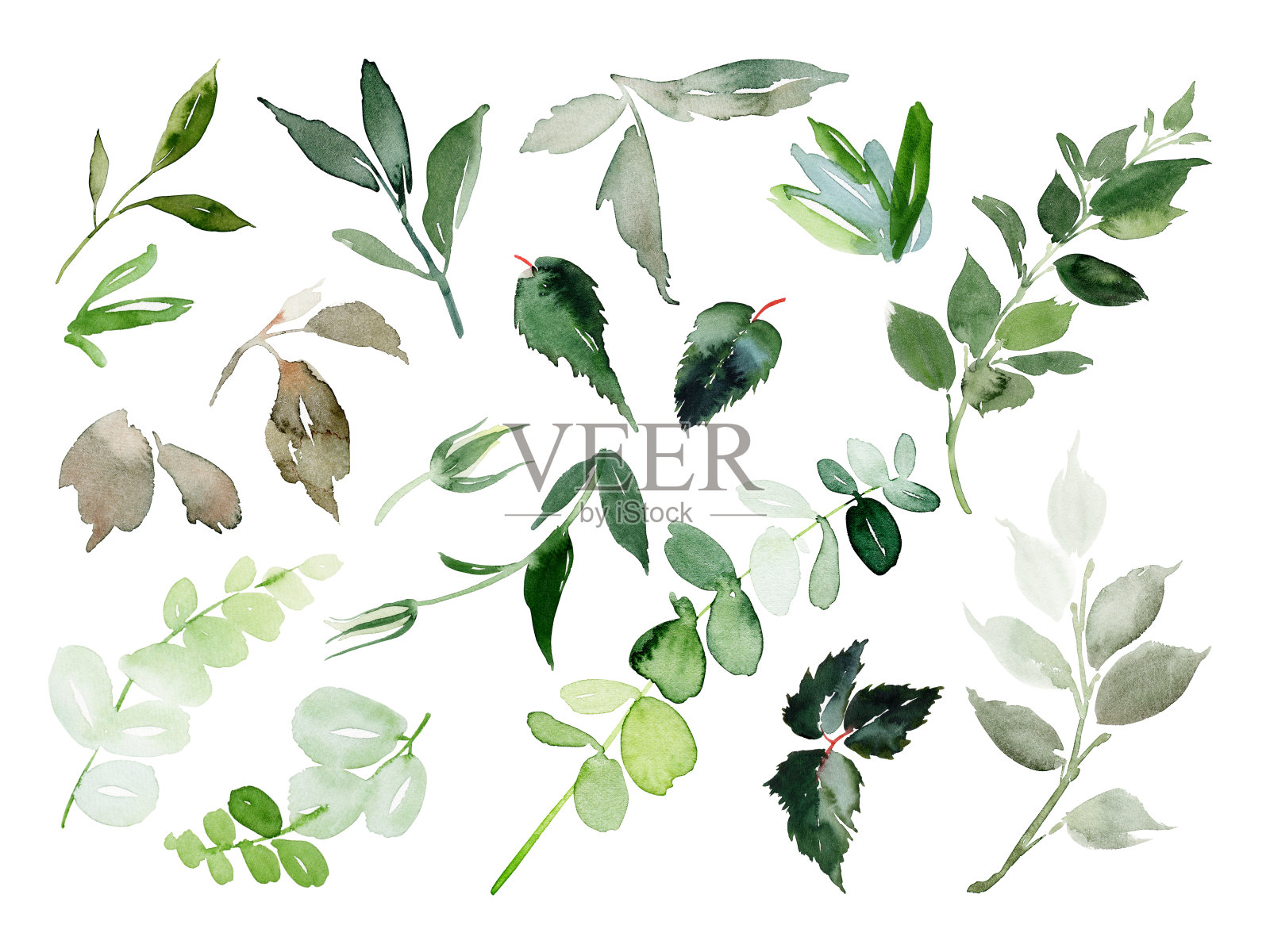 水彩树枝和树叶贺卡套装插画图片素材