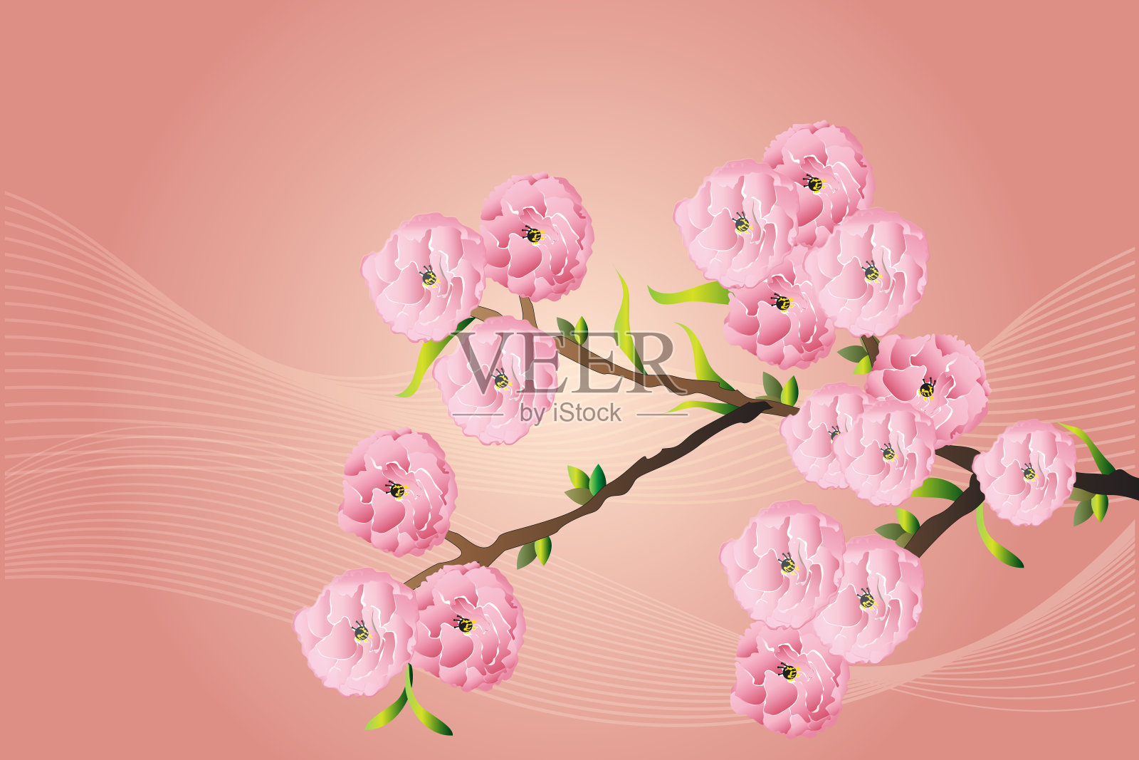 樱花花枝树身份证矢量设计插画图片素材