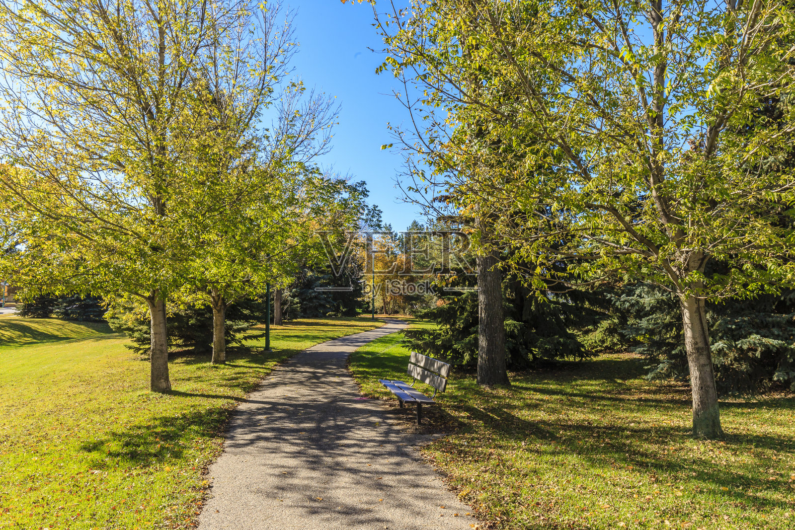 亨利·凯尔西公园照片摄影图片