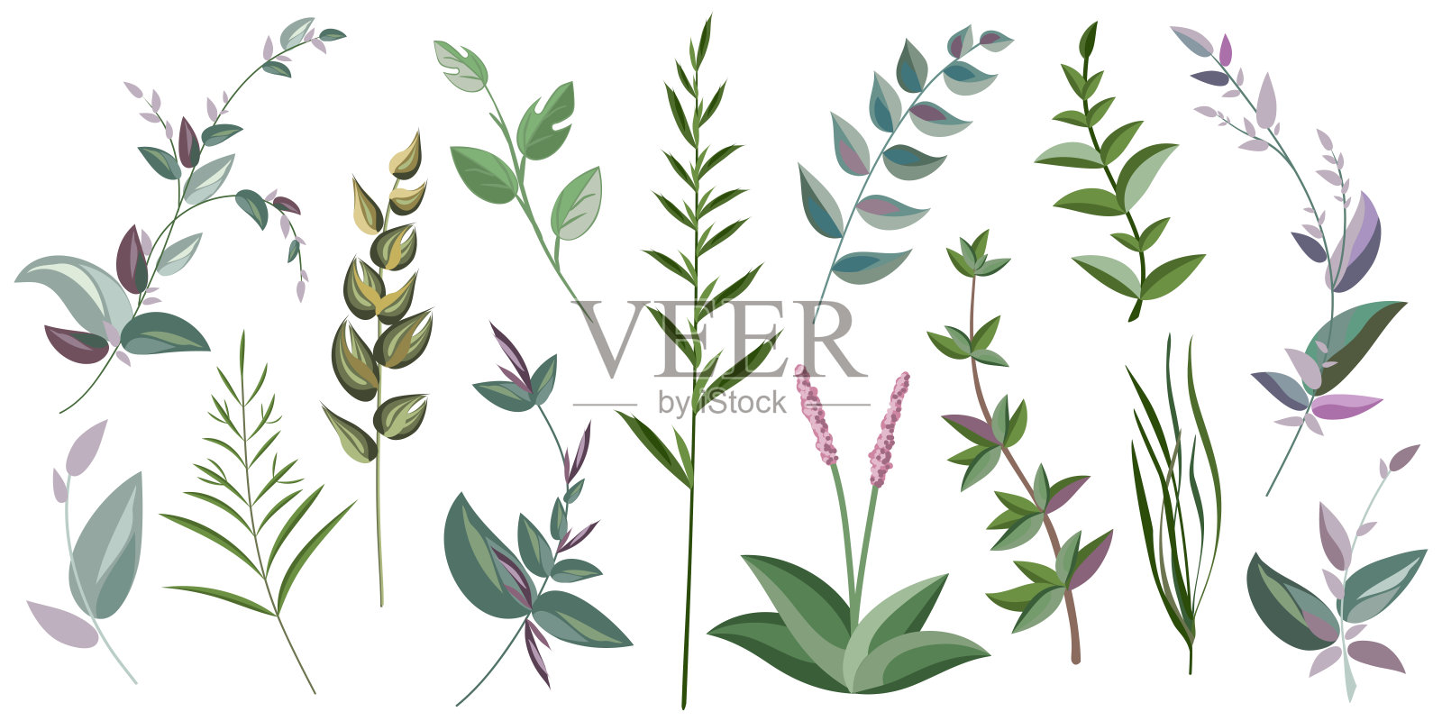 草和树枝插画图片素材