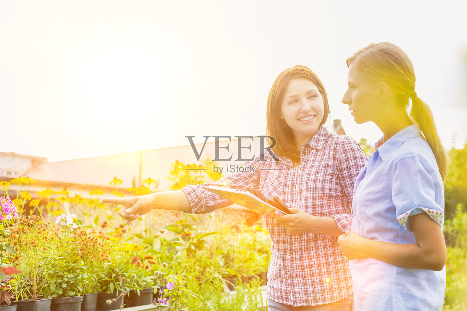 成熟的店主向女性买家展示花盆上的花的肖像照片摄影图片