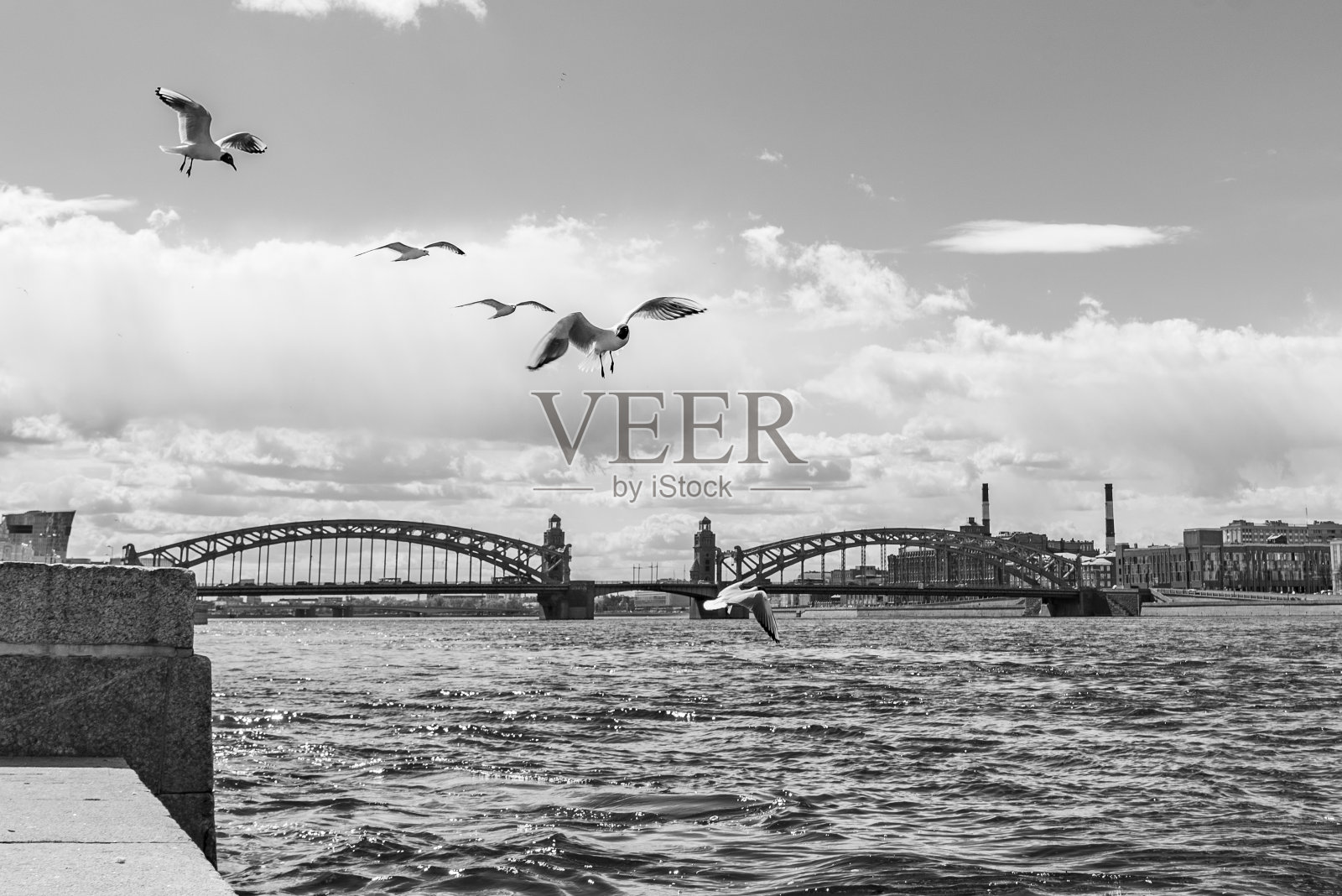 圣彼得堡布尔什赫金斯基大桥上的海鸥照片摄影图片