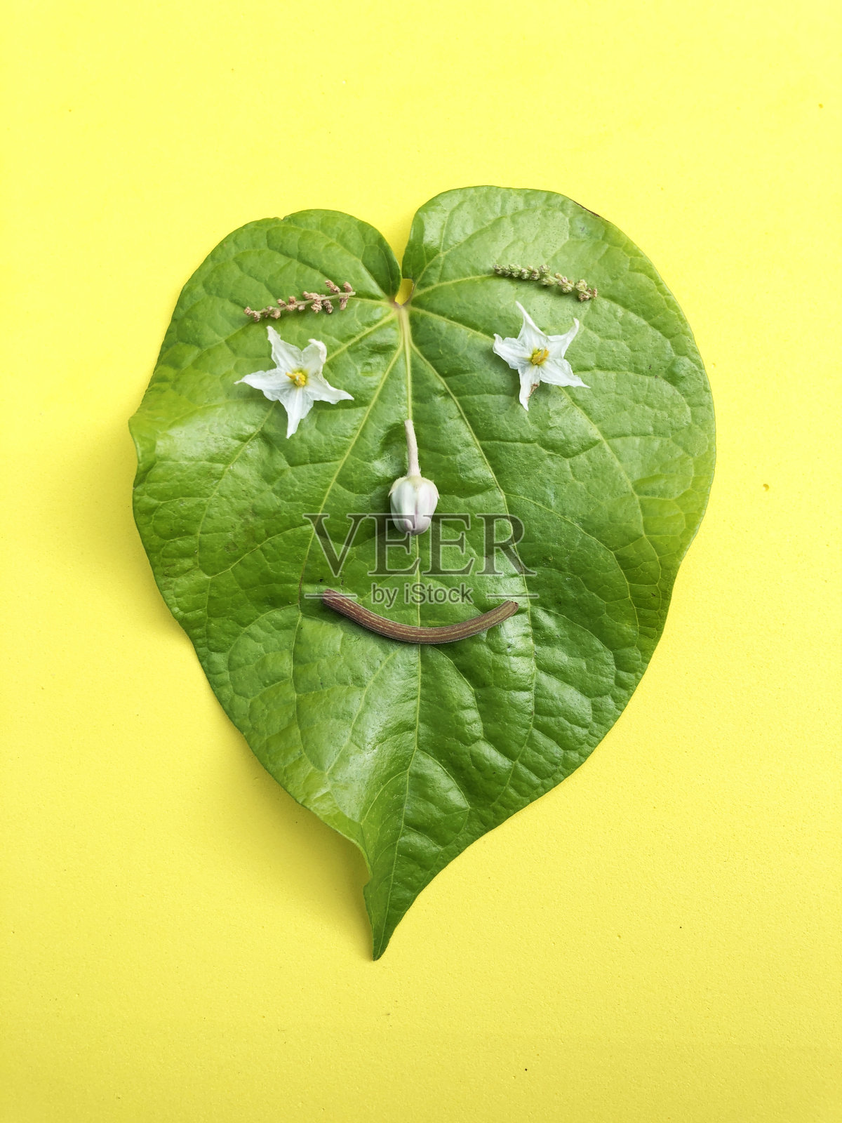 美丽的装饰工艺的槟榔叶代表一个人的脸照片摄影图片