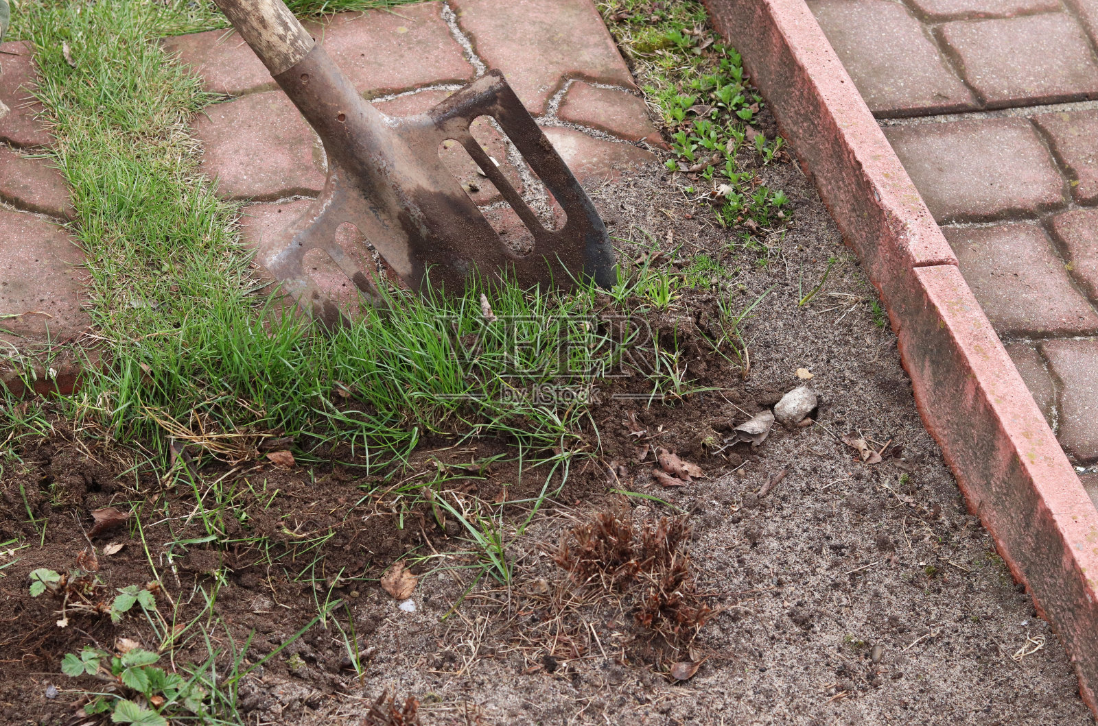 在乡下锄草除草照片摄影图片