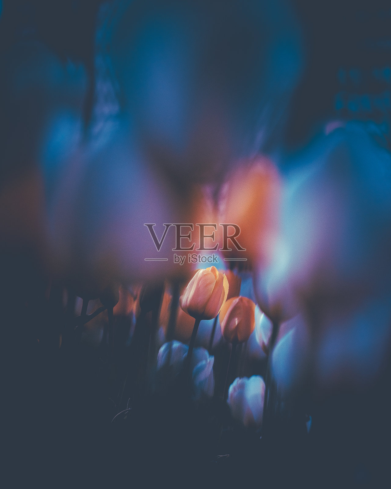 发现宝石照片摄影图片