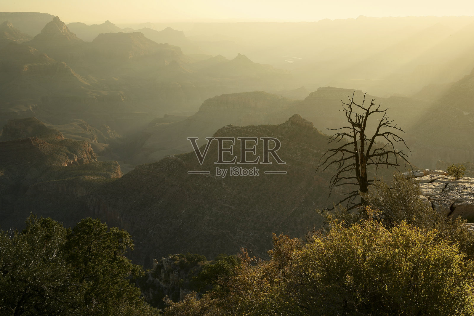 俯瞰大峡谷北缘照片摄影图片