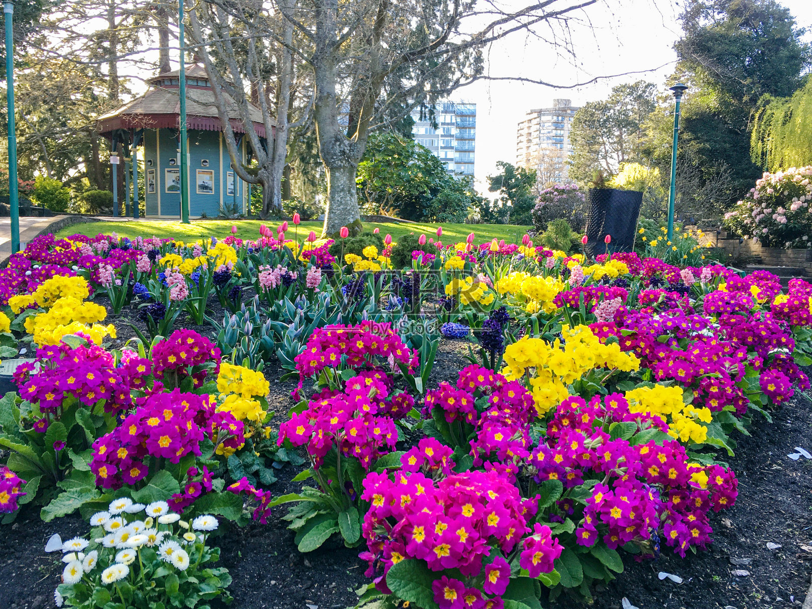 七彩花园03照片摄影图片