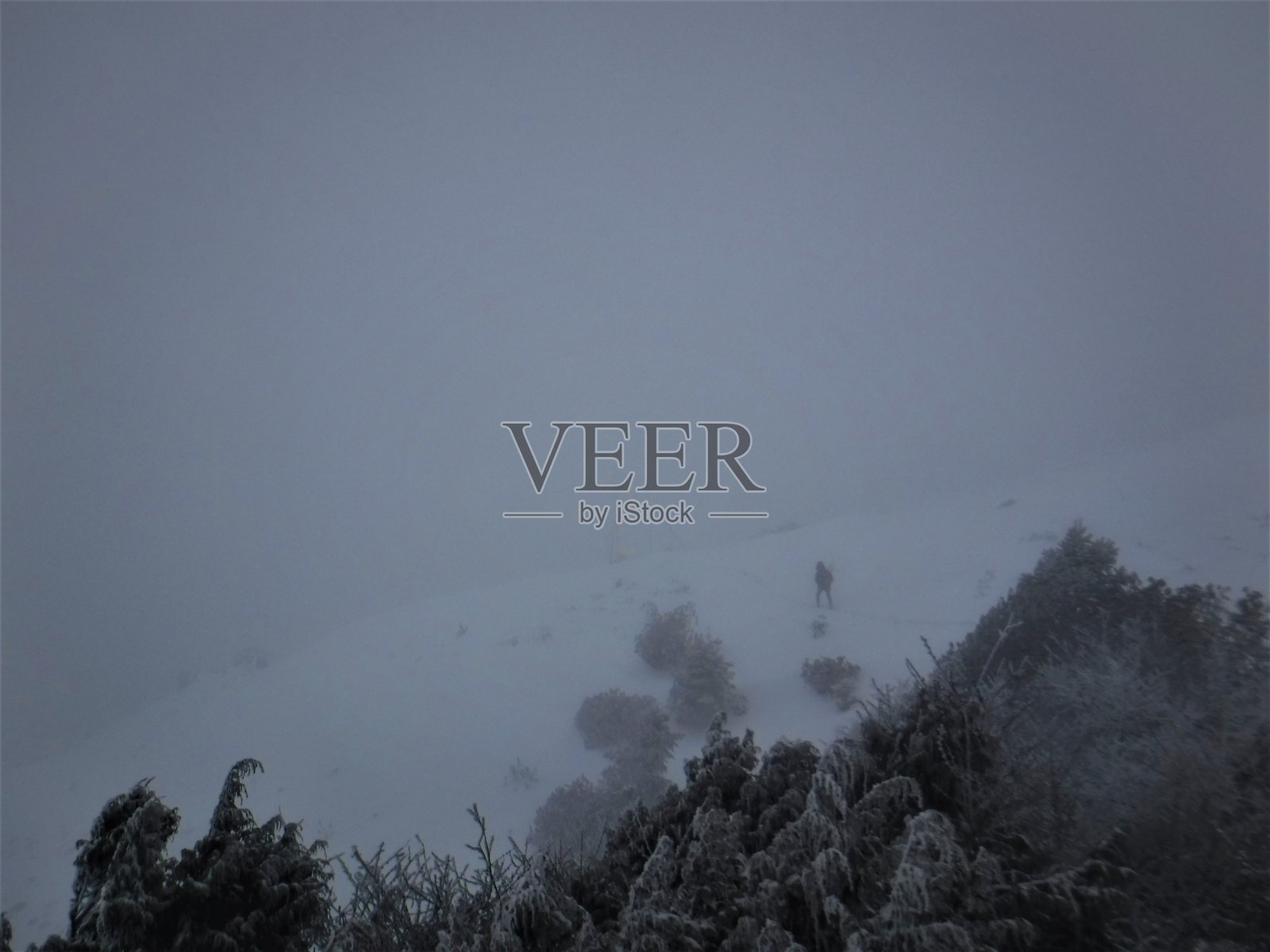 峰会照片摄影图片