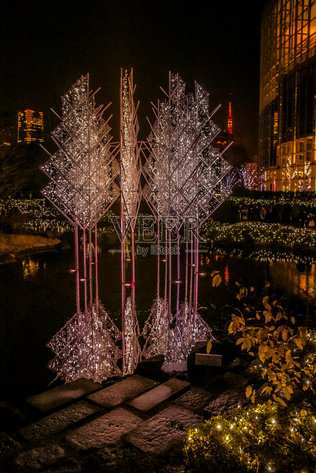 圣诞彩灯和夜景的形象照片摄影图片