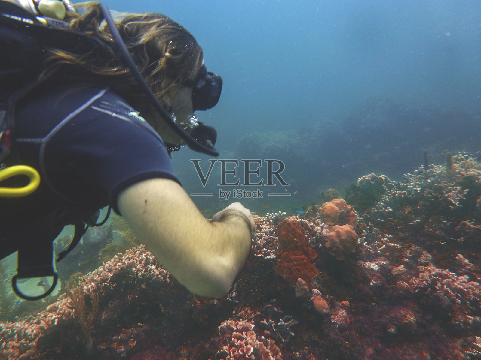 潜水员享受美丽的海洋生活。照片摄影图片