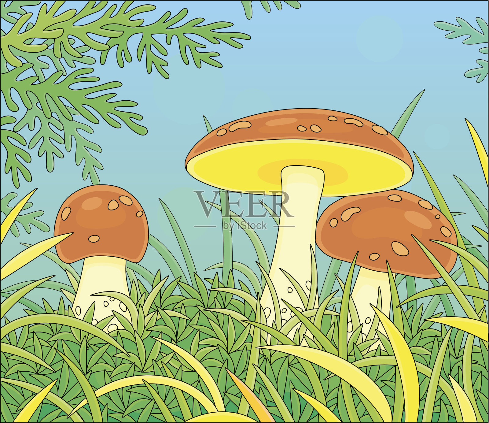 林中空地上茂密草地上的蘑菇插画图片素材