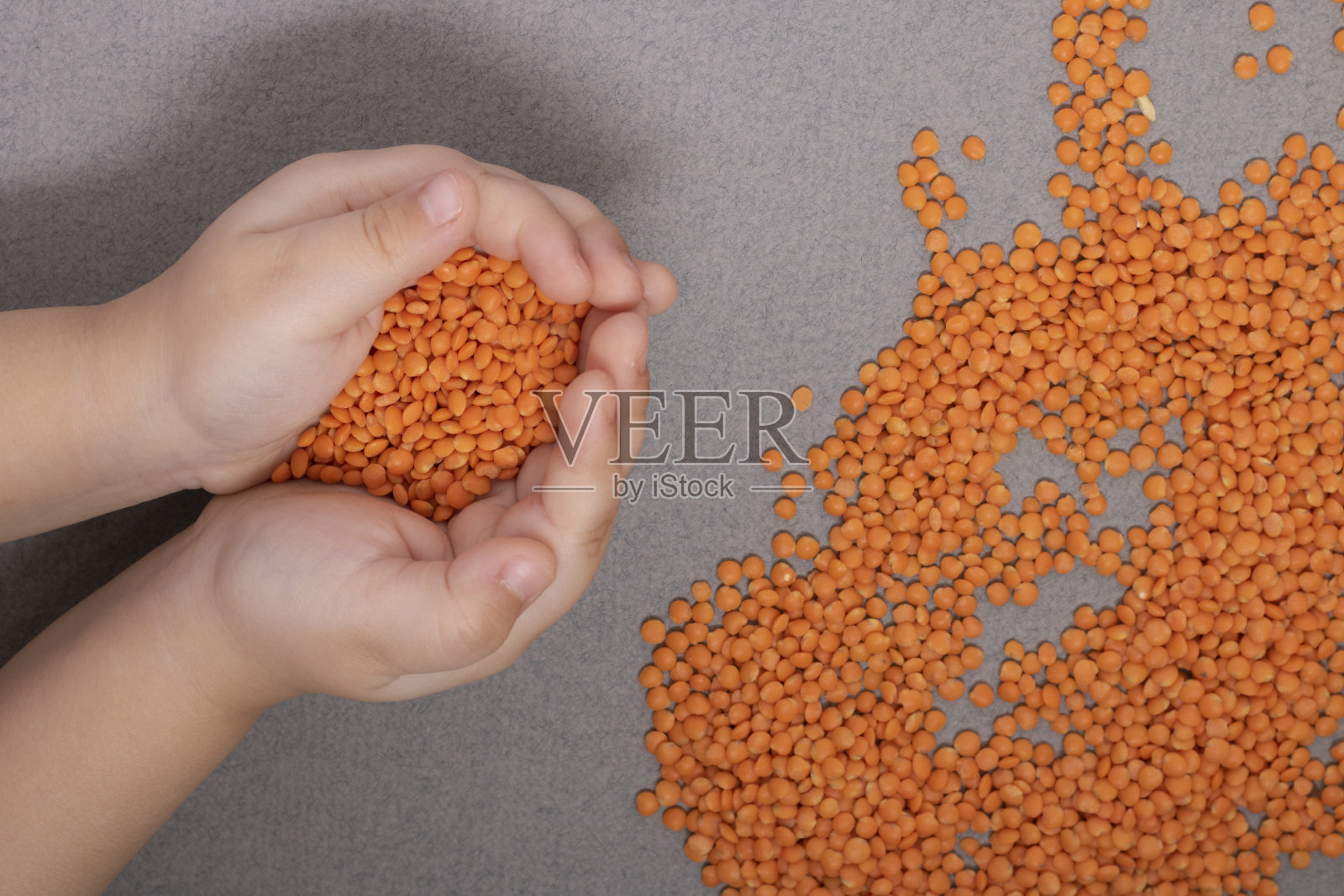 生态食品的概念。上图，拿着红色的小扁豆照片摄影图片