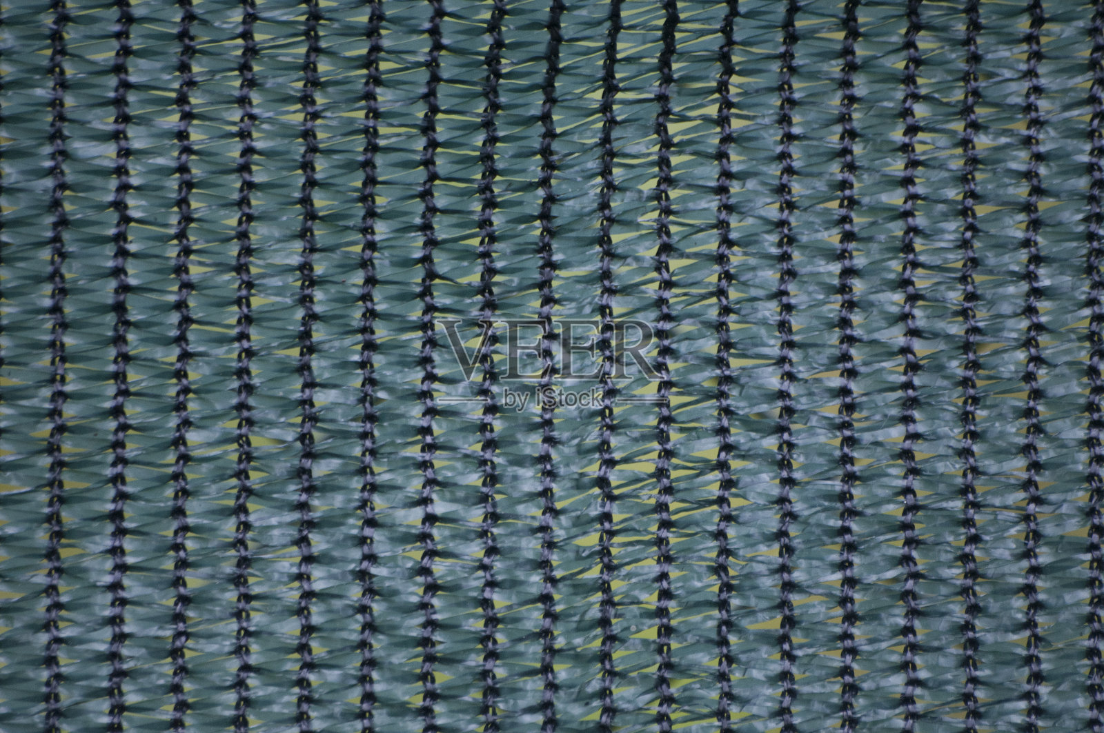 绿色底纹网纹理和背景照片摄影图片