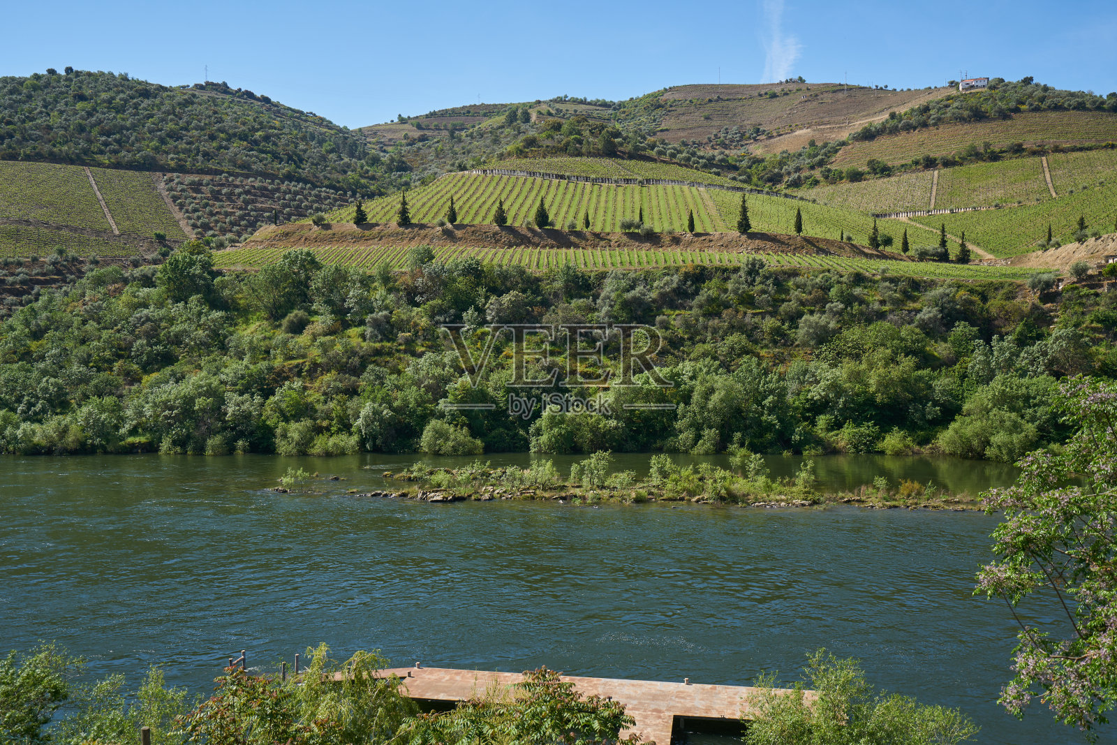 葡萄牙杜罗河葡萄酒谷地区照片摄影图片