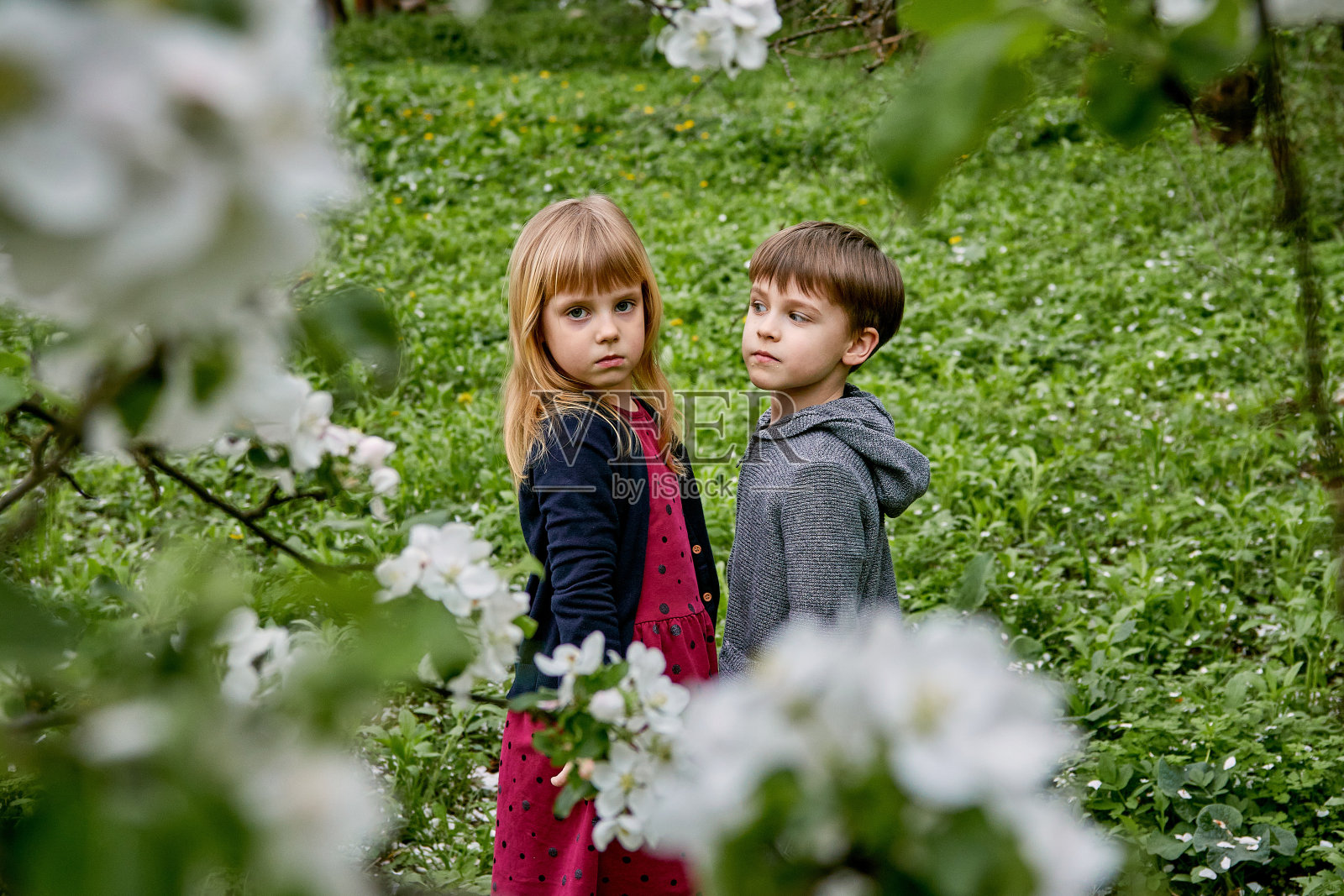 花园和绿草背景下的男孩和女孩肖像：幸福的一家照片摄影图片