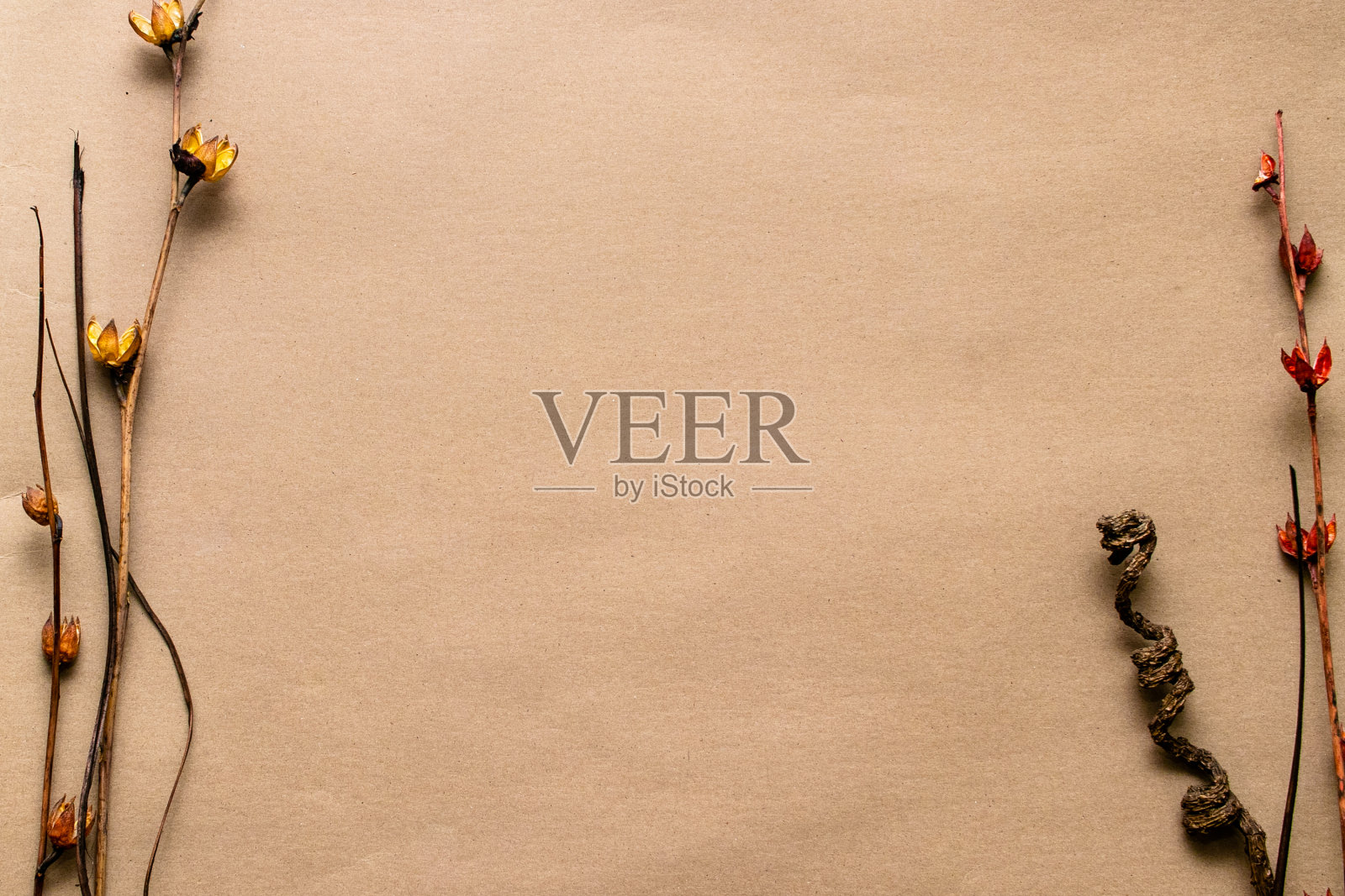 秋天decoratives照片摄影图片