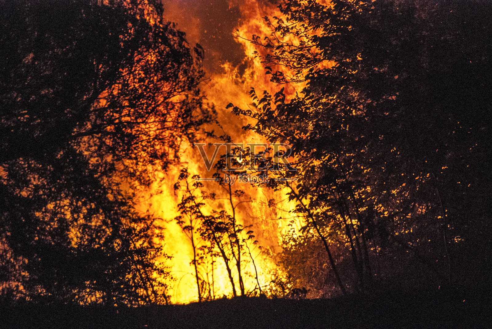 森林大火照片摄影图片
