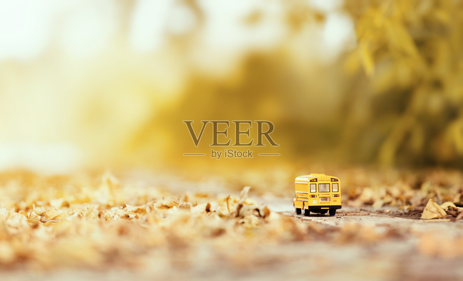 乡村公路上的黄色校车玩具模型。照片摄影图片