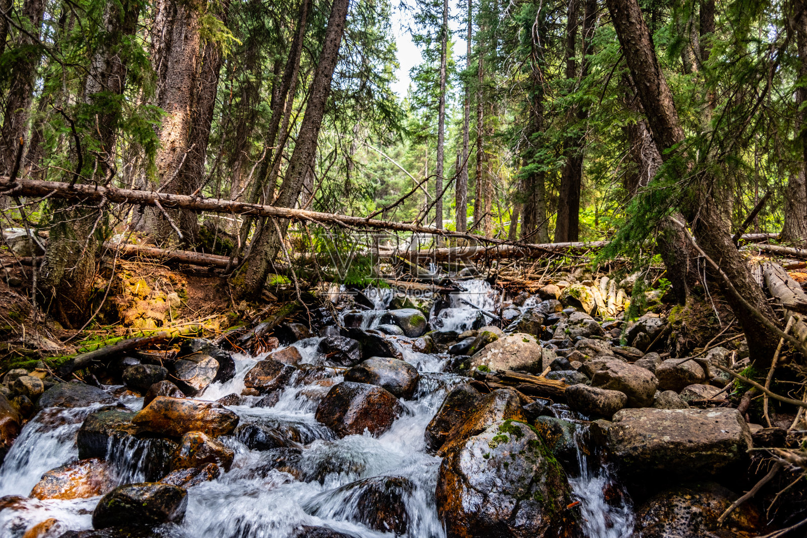 泰顿徒步旅行照片摄影图片