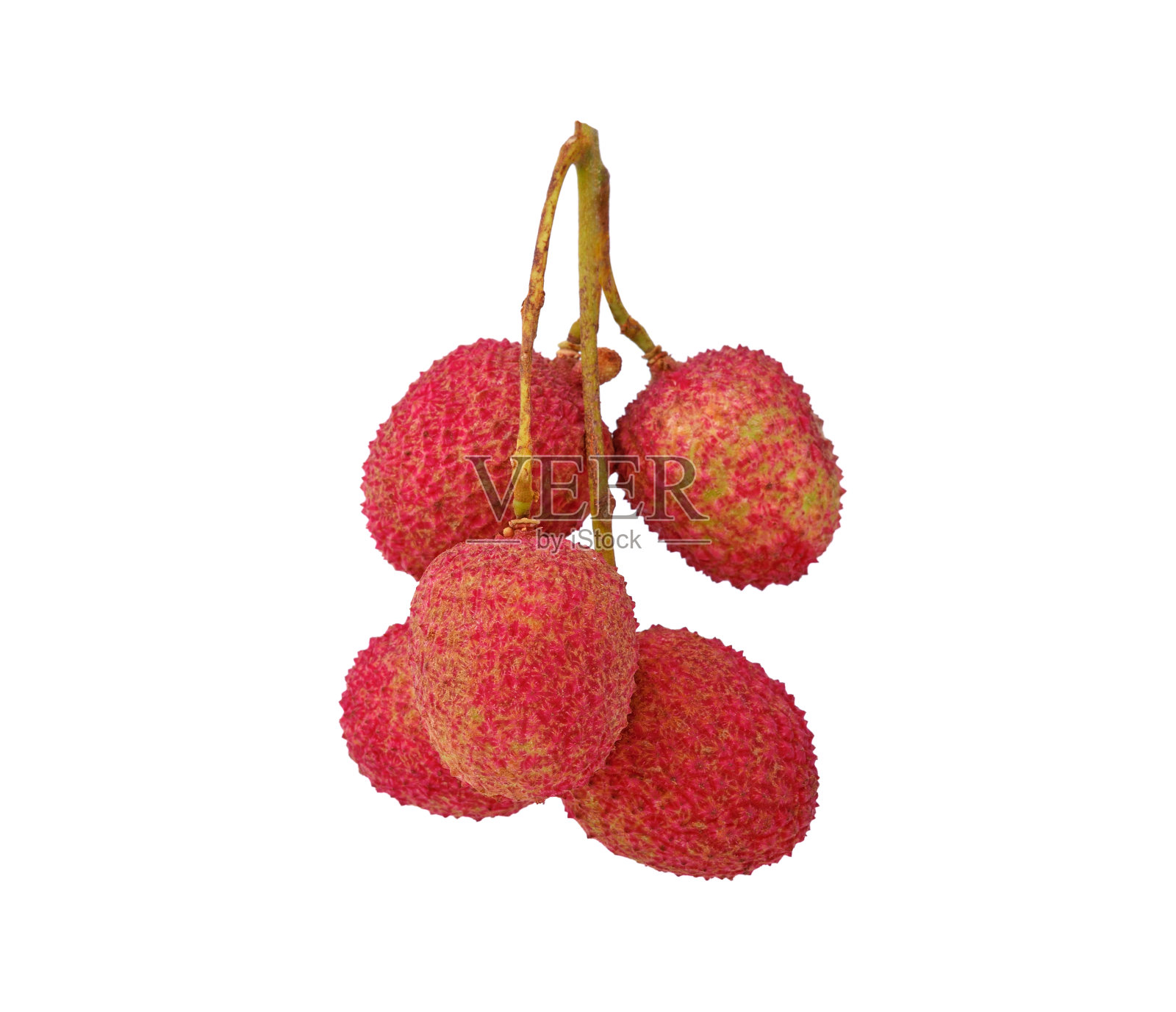 荔枝果孤立在白色照片摄影图片